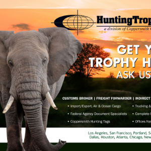 Elephant Banner Ad